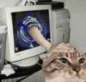 72 KB