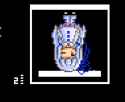 61 KB