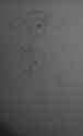 206 KB