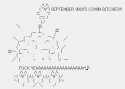 9 KB
