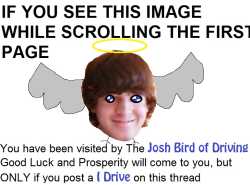 129 KB