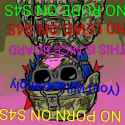 259 KB