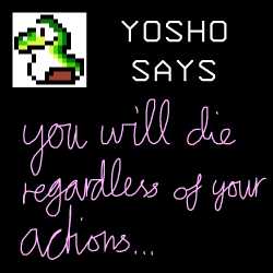 79 KB