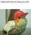 75 KB