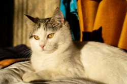34 KB