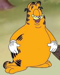 106 KB