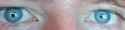 475 KB