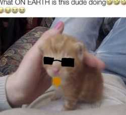 34 KB