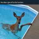 Rule 34 Rule 34 Image