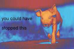 605 KB