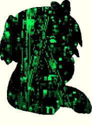 339 KB