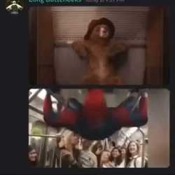 1.8 MB