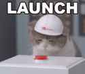 launch cat