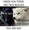 gay_wolf