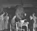 Elephant&#039;s_tea_party,_Robur_Tea_Room,_Sydney,_24_March_1939_-_Sam_Hood_(3529604677)