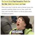 veganism is inhumane plant cruelty