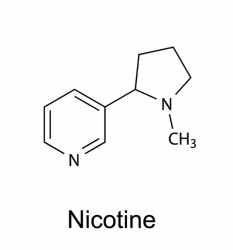 nicotine+structure