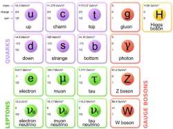 quarks