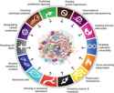 Hallmarks-of-Cancer