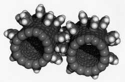 Fullerene_Nanogears_-_GPN-2000-001535