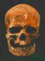 cromag1