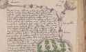 voynich