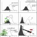 Bell curve