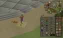 Screenshot_20250605_123834