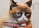 disapproval