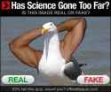 science gone too far
