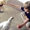 chickenhug