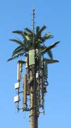 04-cell-tower-mexico