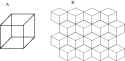 A-The-Necker-cube-demonstrates-multistability-in-perception-B-This-figure-shows-how