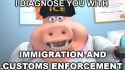 dr-pig-diagnose-ice