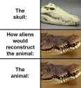80 KB