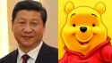 Xi is Winnie.jpg