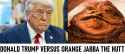 hutt-trump.jpg