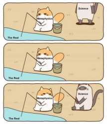71 KB