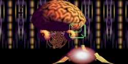71 KB