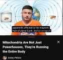 466 KB