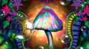 263-2631424_best-psychedelic-trippy-background-id-high-resolution-psychedelic