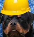 2024-02-08 21_38_24-Construction Dogs (Short Animation) - YouTube – Google Chrome