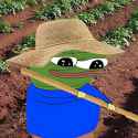 pepe farming