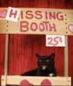 Hissing booth