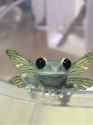 angel frog