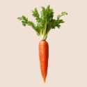 red-carrot-red-carrot-transparent-background-ai-generated-free-png