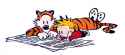 calvin-and-hobbes-1-2