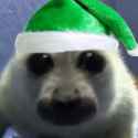 sealCHRISTMASYAY