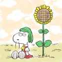 kazami_yuuka_and_spike_touhou_and_1_more_drawn_by_chamupei__sample-e06aeb7e852130521a2e4ffb5bb6a1d8