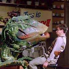 feed-me-seymour